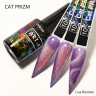 Art-A серия Cat Prism 010, 8ml